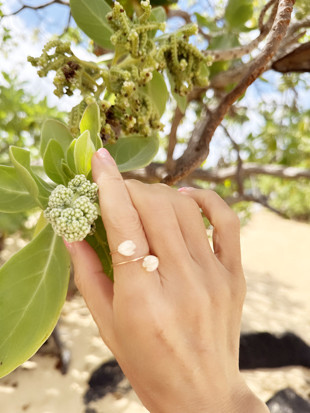 Pikake ring adjustable 14k gold filled Mother of pearl l