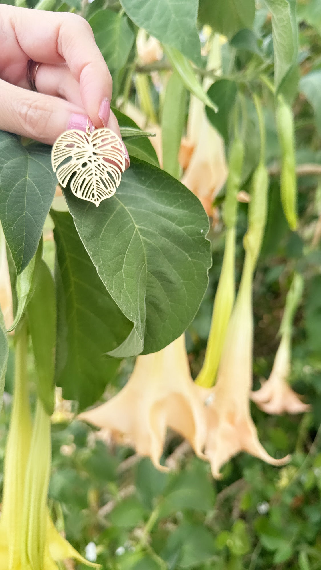Monstera Leaf Earrings